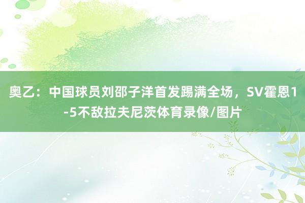 奥乙：中国球员刘邵子洋首发踢满全场，SV霍恩1-5不敌拉夫尼茨体育录像/图片