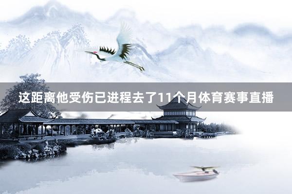 这距离他受伤已进程去了11个月体育赛事直播