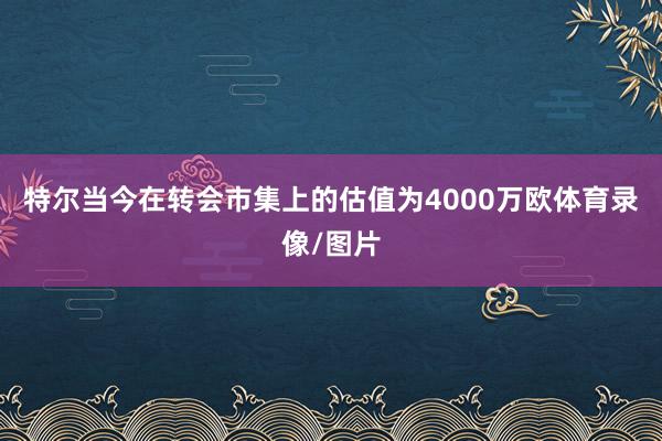 特尔当今在转会市集上的估值为4000万欧体育录像/图片