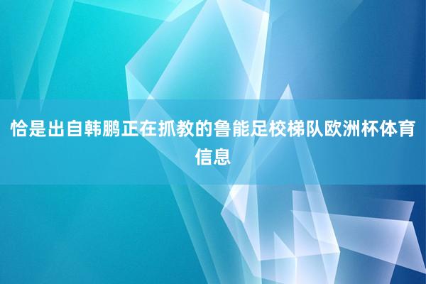 恰是出自韩鹏正在抓教的鲁能足校梯队欧洲杯体育信息