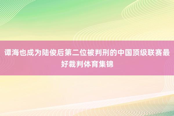 谭海也成为陆俊后第二位被判刑的中国顶级联赛最好裁判体育集锦