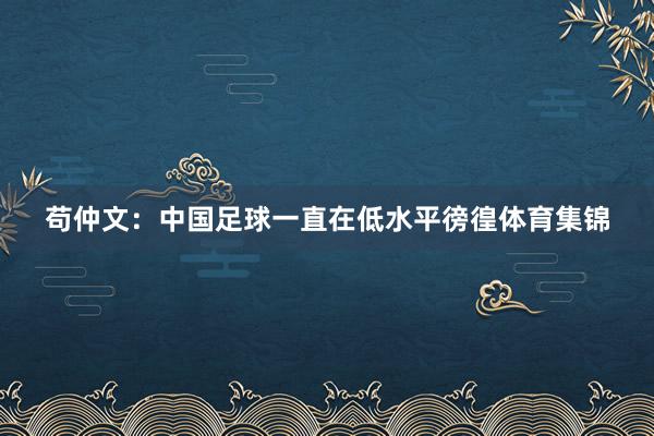 苟仲文：中国足球一直在低水平徬徨体育集锦