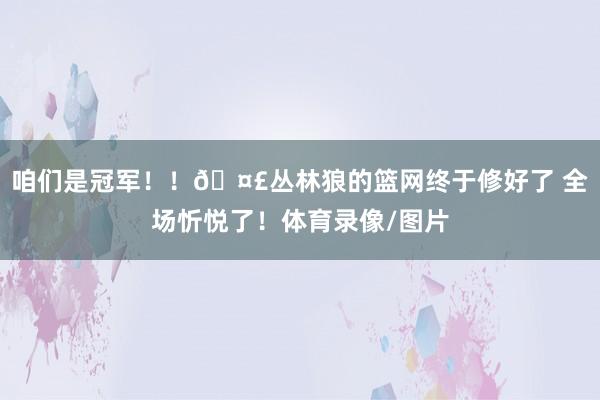 咱们是冠军！！🤣丛林狼的篮网终于修好了 全场忻悦了！体育录像/图片