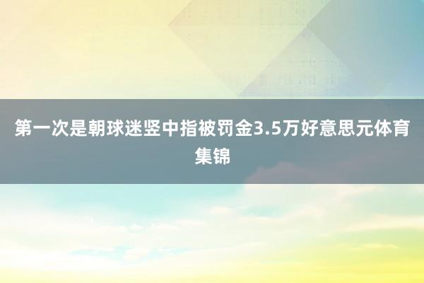 第一次是朝球迷竖中指被罚金3.5万好意思元体育集锦