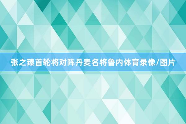 张之臻首轮将对阵丹麦名将鲁内体育录像/图片