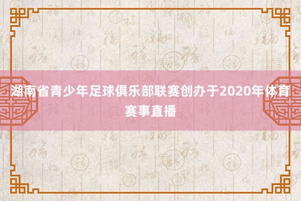 湖南省青少年足球俱乐部联赛创办于2020年体育赛事直播