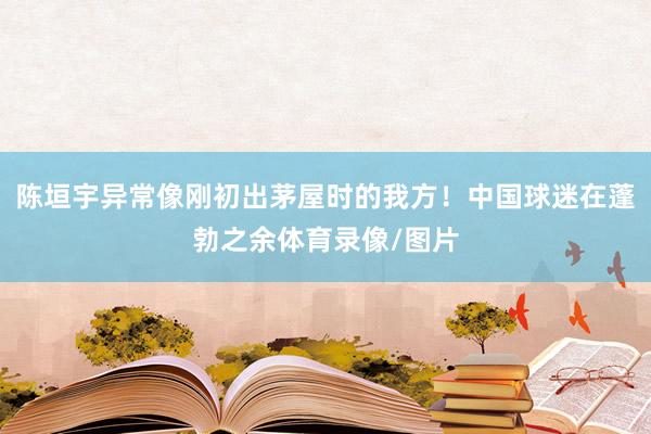 陈垣宇异常像刚初出茅屋时的我方！中国球迷在蓬勃之余体育录像/图片