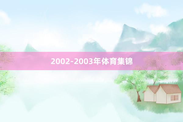 2002-2003年体育集锦